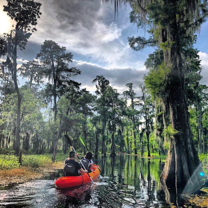 New Orleans Kayak Swamp Tour