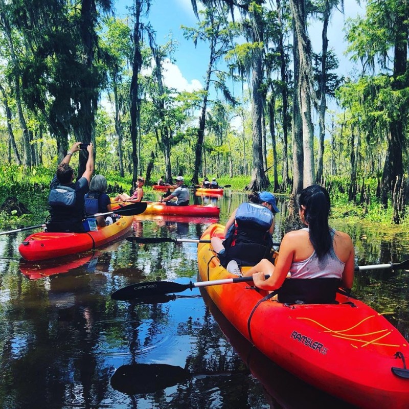 New Orleans Kayak Swamp Tour